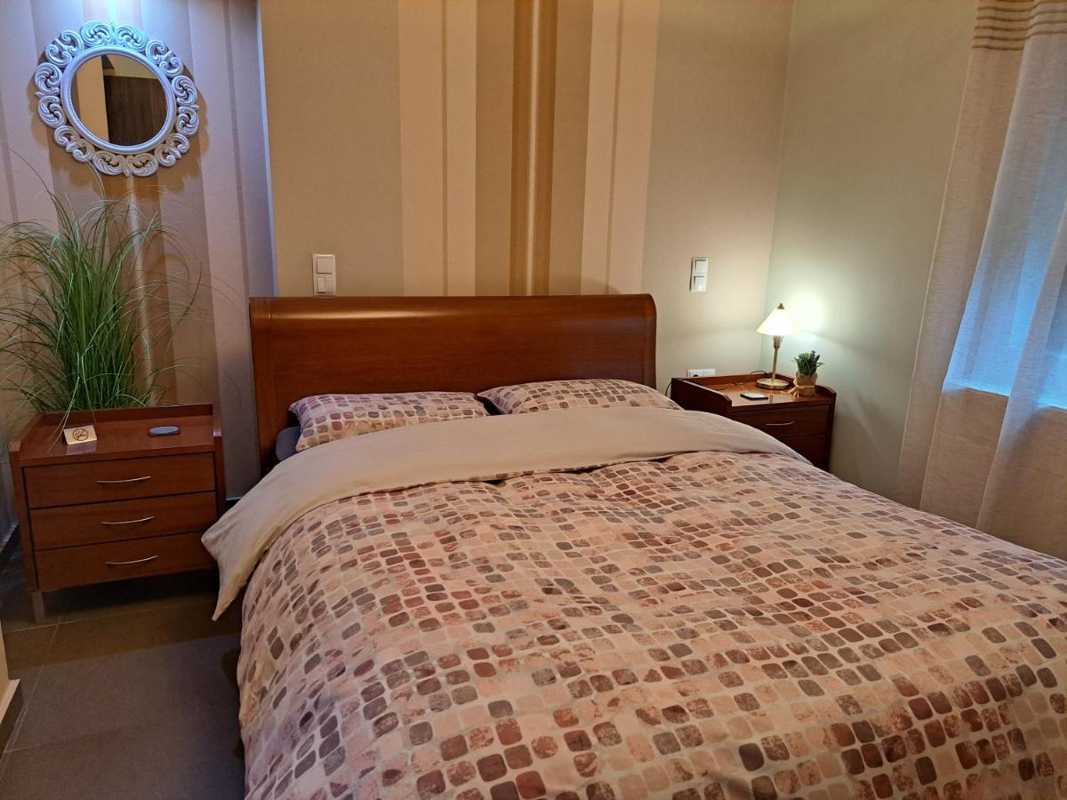 Modern Residence In The Center Of Trikala 외부 사진