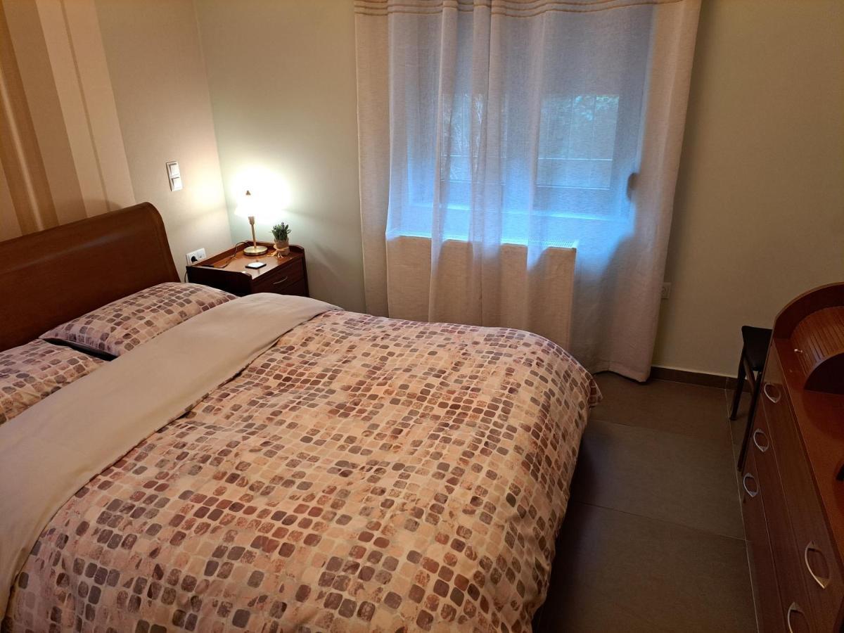 Modern Residence In The Center Of Trikala 외부 사진